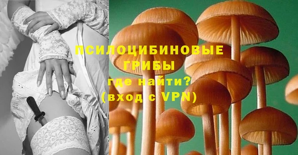 каннабис Алзамай